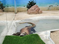 -广州长隆野生动物世界