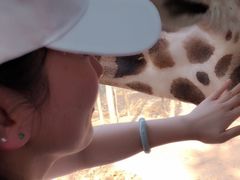 -清迈夜间动物园