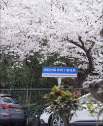 -童谣里医疗级月子中心(独栋湖景店)