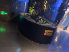 -1718海鲜姿造(苏宁宴请臻选店)