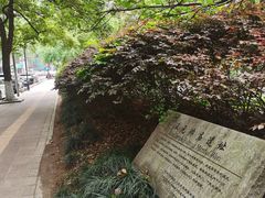 -温元帅庙遗址