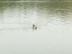 -艾溪湖湿地公园