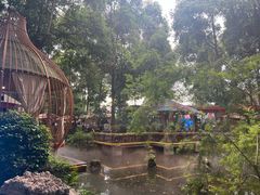 -二荆条·蜀鲜汇城市森林火锅