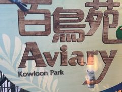 -九龙公园