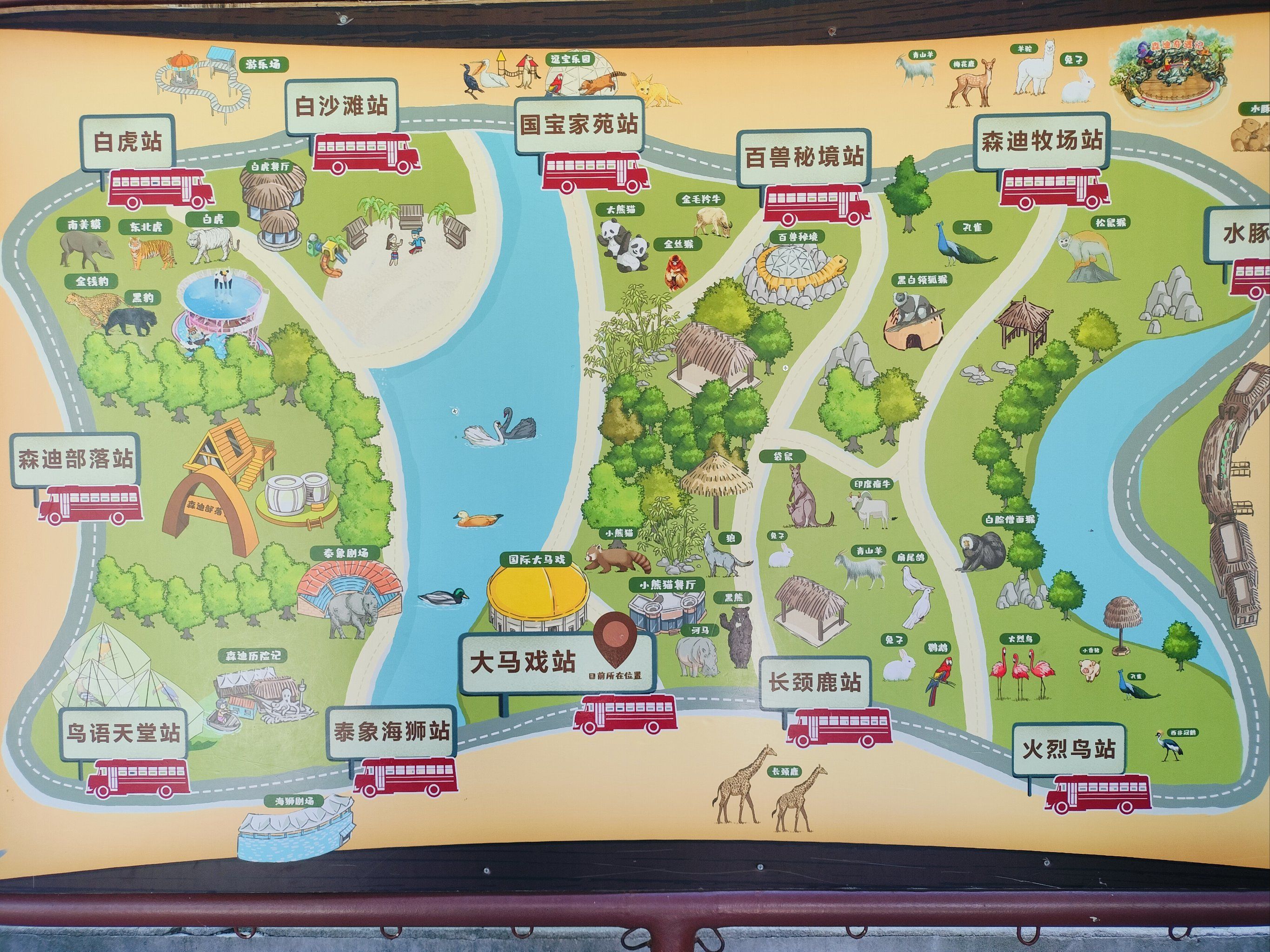 0元玩转这座城南通野生动物园真的不错