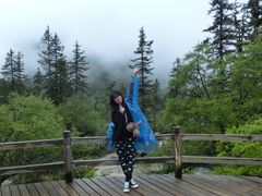 -黄龙山原始森林景区