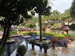 -锦腾轩滇味餐厅