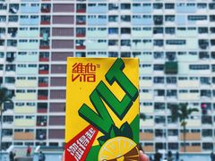 -彩虹村