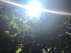 -四川农业大学(雅安校区)