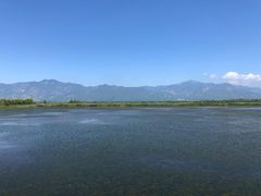 -野鸭湖国家湿地公园