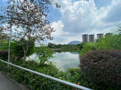 -大王岭农庄