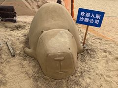 -朱家尖南沙景点