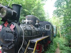 -五营红松林海景区