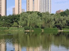-木塔寺遗址生态公园
