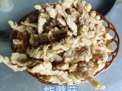 -天源渔港农庄