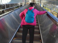 -洛阳白云山景区