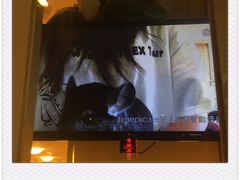 -龙猫仔乐园(惠福东路店)