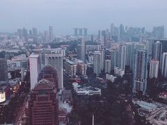 -爱雍·乌节
