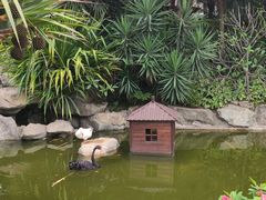 -厦门日月谷温泉渡假村