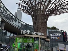 -柠季·手打柠檬茶(梅溪湖新天地外街店)