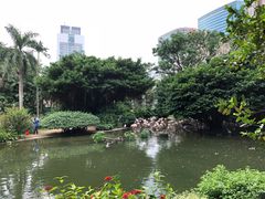 -香港皇家太平洋酒店