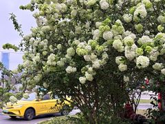 -大龙山(地铁站)