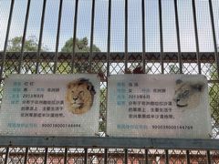 -昆明动物园