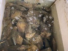 -黄沙水产交易市场