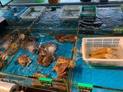 水产区-海蓝海鲜馆(五四北店)