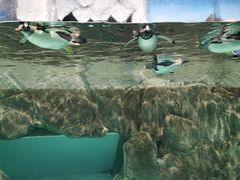 -成都浩海立方海洋公园