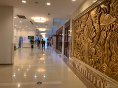 -复旦大学附属华山医院(浦东院区)