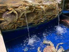 -海景壹号大酒店(滨湖店)