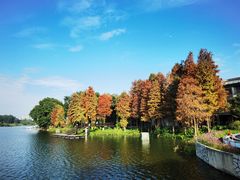 -白云湖畔酒店-湖畔餐厅
