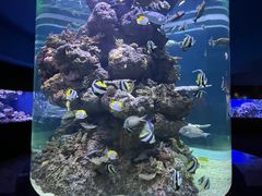 -成都浩海立方海洋公园