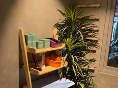 -施奈儿.洗头頭療.按摩SPA.采耳(上梅林店)