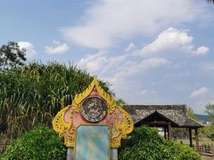 -中国科学院西双版纳热带植物园