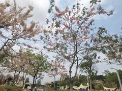 -白石龙音乐公园