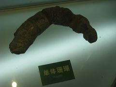 -灵秀温泉
