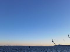 -滇池海埂公园