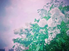 -大龙山(地铁站)