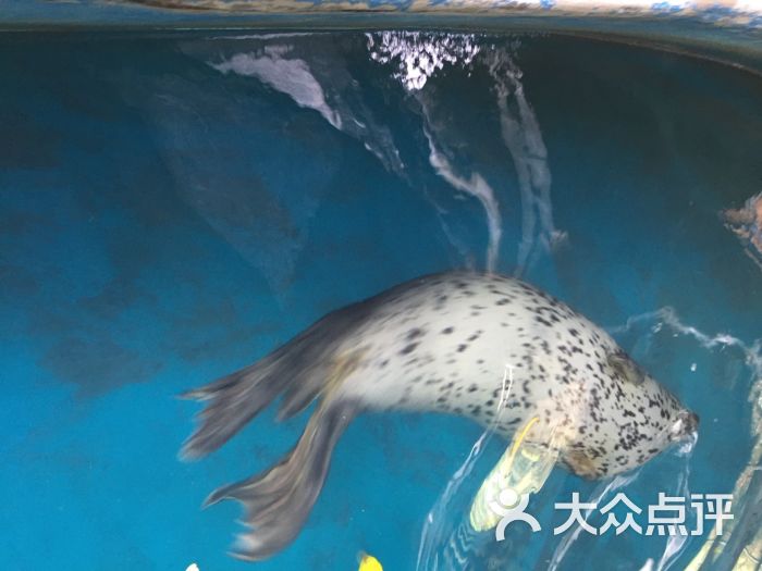 蠡湖中央公园海底世界海底世界图片 - 第1186张