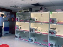 -lincat·猫舍(广州店)