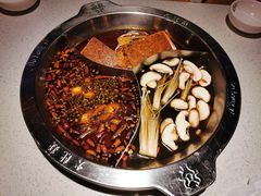 奔驰牛蛙锅-大龙燚火锅(天钥桥路店)