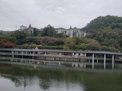 -银湖山郊野公园-相思林