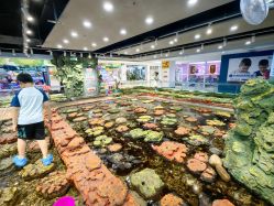 -钓虾工场·钓虾·赶海(回龙观店)