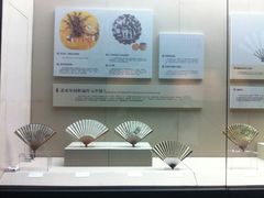 -中国扇博物馆