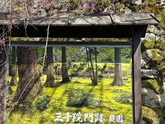 -三千院