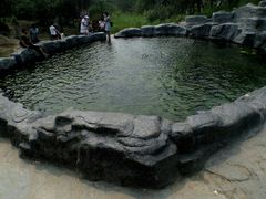 景点-白洋淀景区