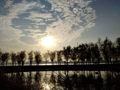 -艾溪湖湿地公园