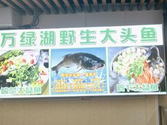 -岭下农庄·农家菜·野生大头鱼·公司团建(福永凤凰山店)